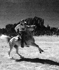 tom mix