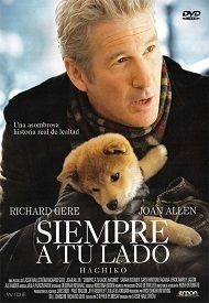 siempre lado