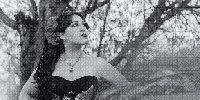 4-voces-zacatecas.jpg