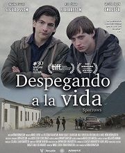 desegando-vida.jpg