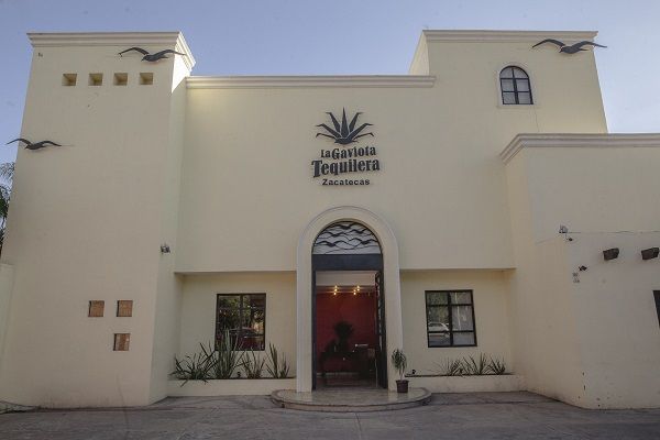 galeria 6 