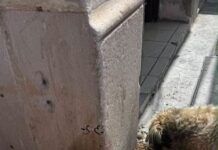 Reportan robo masivo de tuberías en el centro de Guadalupe; vecinos alertan por sustracciones