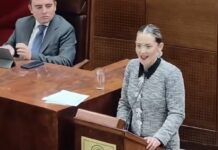Novias, narcoestado y asco: en la LXV legislatura.