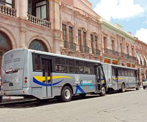 Los autobuses Cebuaz. (Leonardo Moreno) Los autobuses Cebuaz. (Leonardo Moreno)