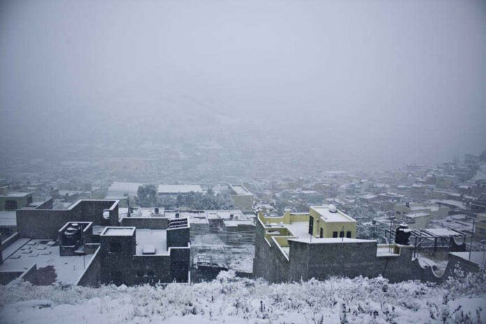 Imágenes de la nevada del viernes. (Leonardo Moreno) Imágenes de la nevada del viernes. (Leonardo Moreno)