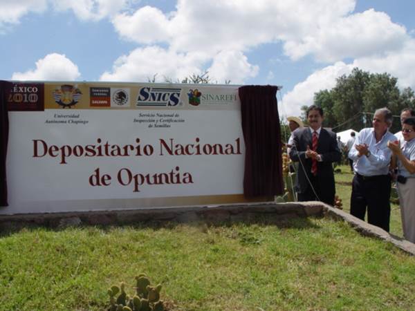 DSC00820-555