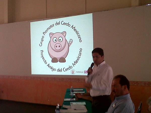 porcicultura-11e