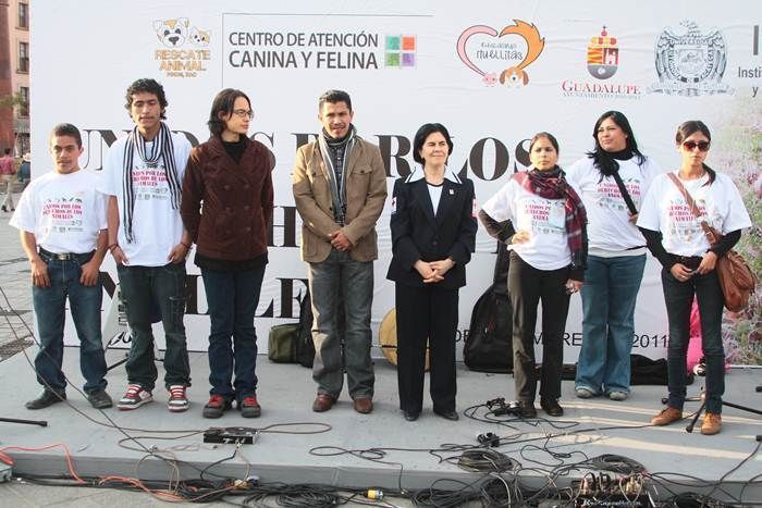derechos-de-los-perros-5
