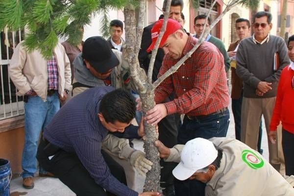 reforestacion-matamoros1 reforestacion-matamoros1