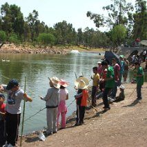 pesca