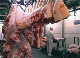 carne-de7