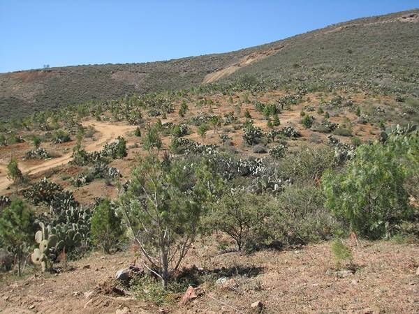 parque-ecologico-bicentenario-1