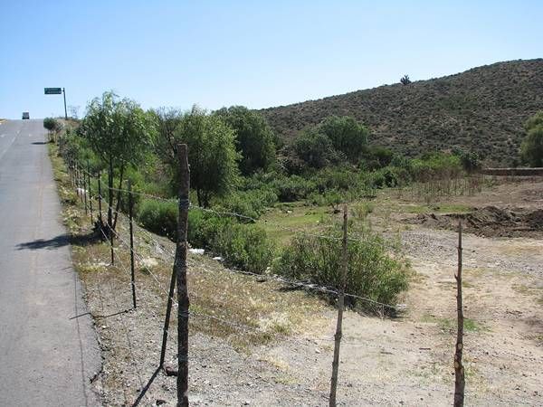 parque-ecologico-bicentenario-3