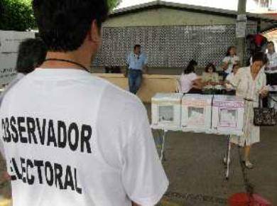 observador-electoral observador-electoral