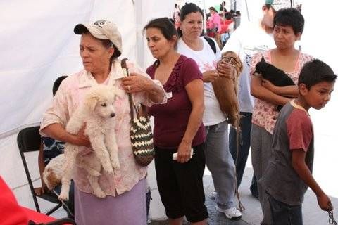 perros2