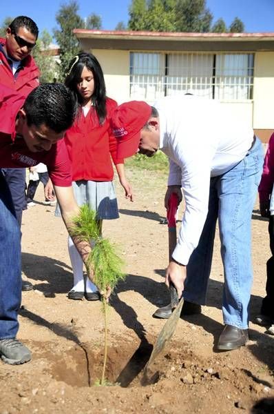 plantan-arboles-escuelas