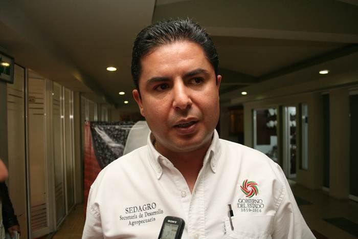 enrique-flores-1