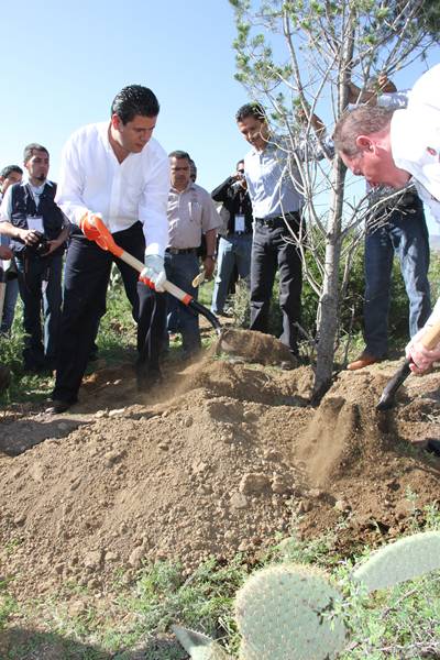 reforestacion-parque-ecologico1