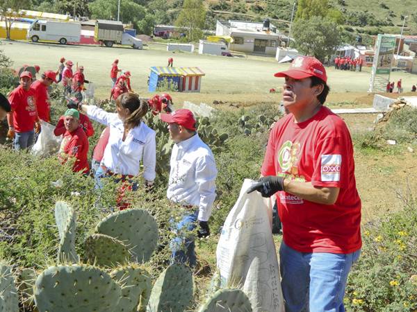 reforestacion-bracho2