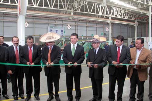 planta-japonesa-zacatecas2