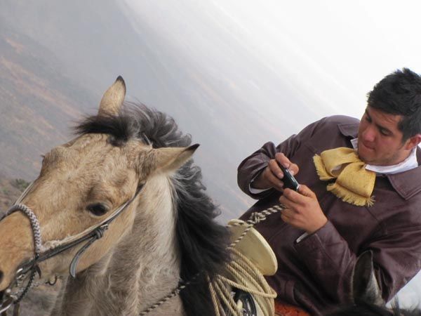 cabalgata-zacatecas