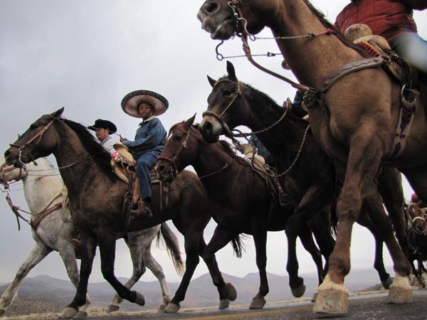 cabalgata-zacatecas1