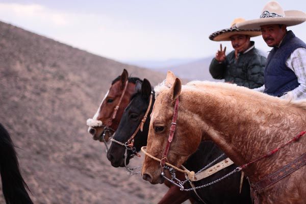 cabalgata-zacatecas11