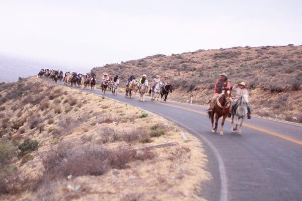 cabalgata-zacatecas13
