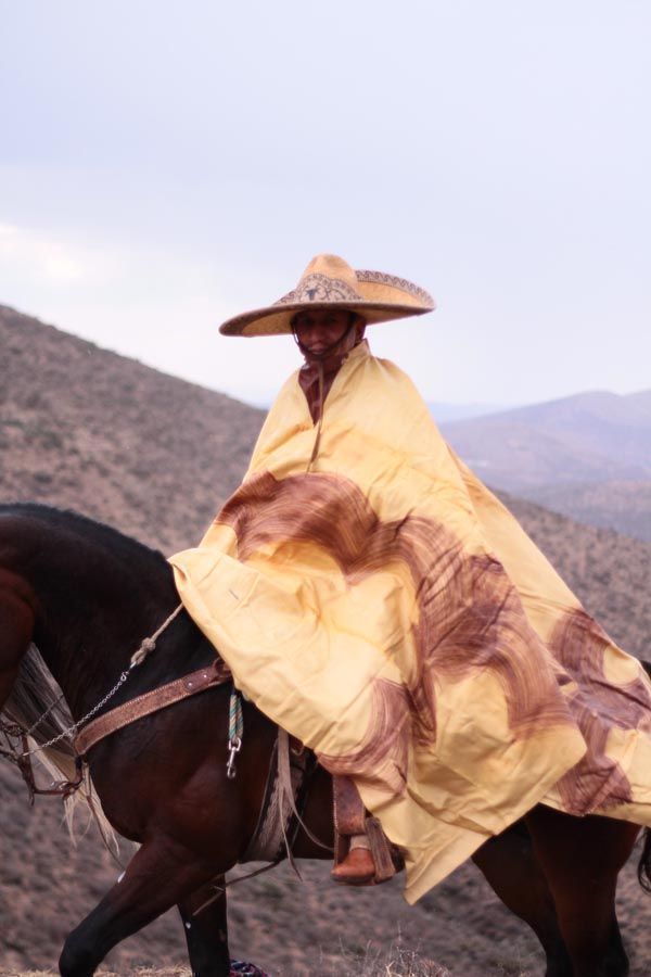 cabalgata-zacatecas14