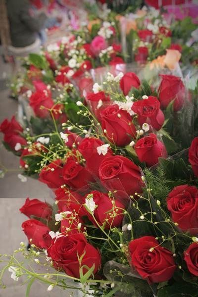 14-de-febrero-5