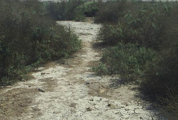frontera-1