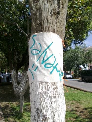 alameda-7