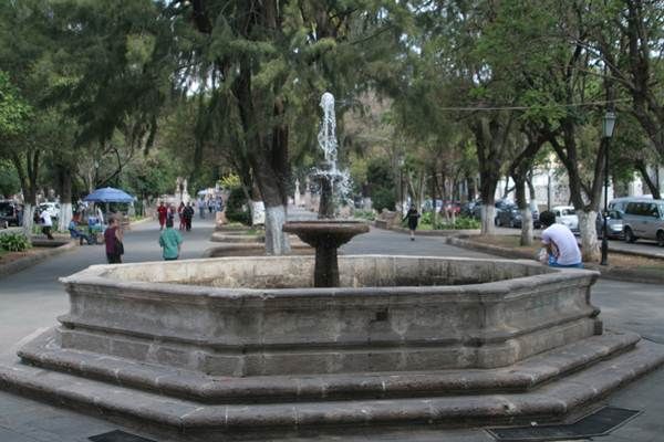 alameda-1