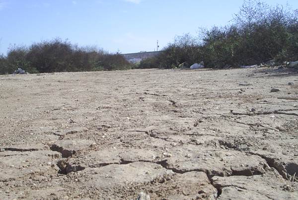 testimonio-frontera-4