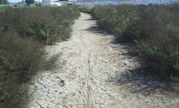 testimonio-frontera-5