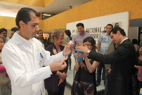 vacunacion-artirrabica-guadalupe
