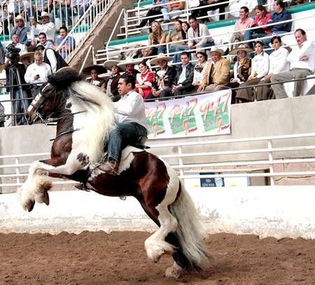 charreada