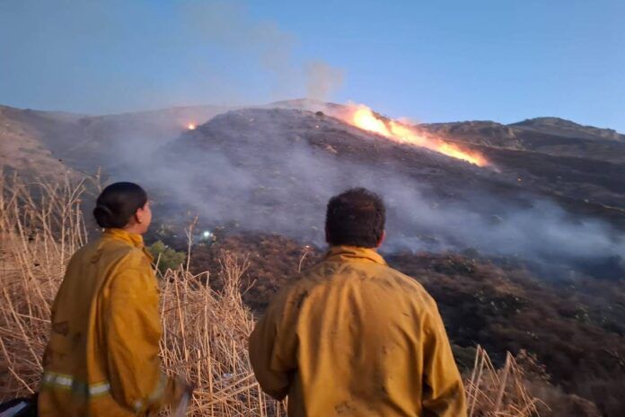 capstone-incendio