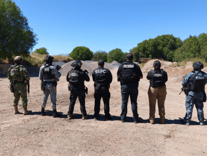 cateo-metropolitano-22