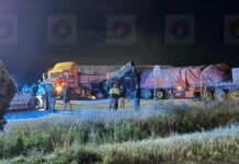 Chocan tráileres frente a gasolinera Las Palmas, en Fresnillo