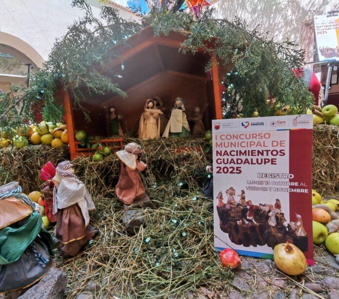 concurso-nacimientos-2