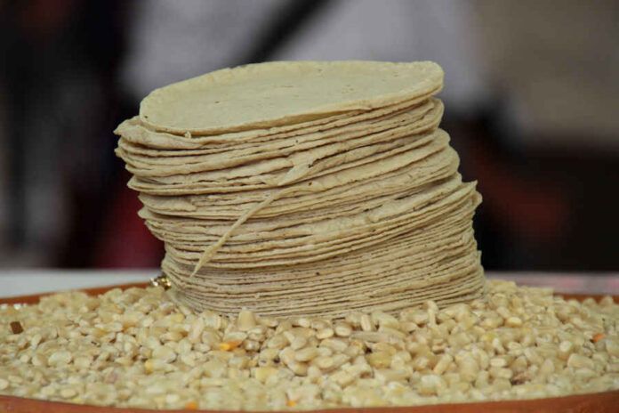 arte-tortilla-56d
