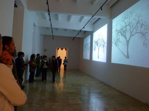 exposicion3