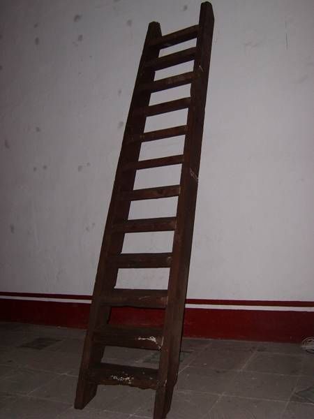 exposicion-momentum3
