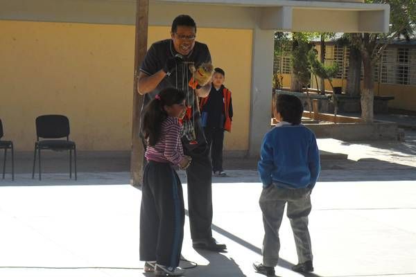 escuela-victor-rosales2