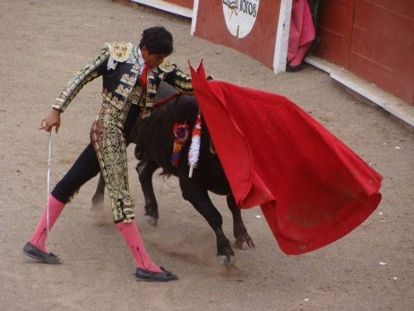 segunda-novillada-manolete7