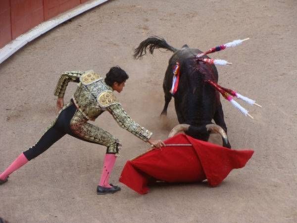 segunda-novillada-rosales2