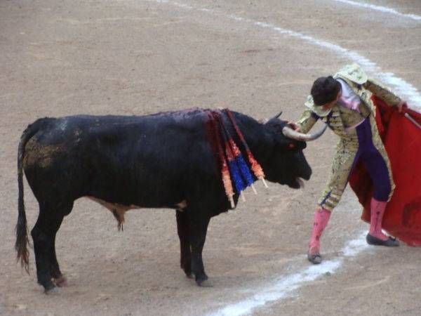 segunda-novillada4