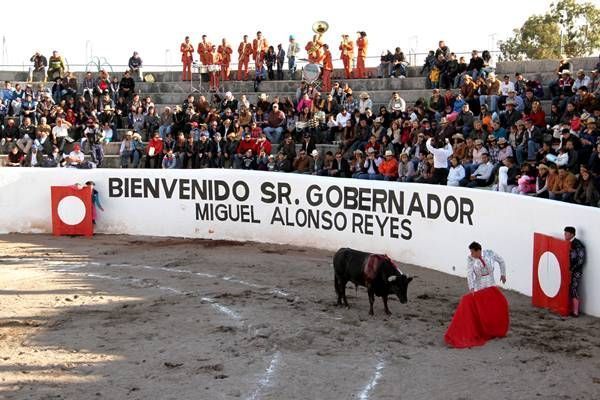 toros-pinos2