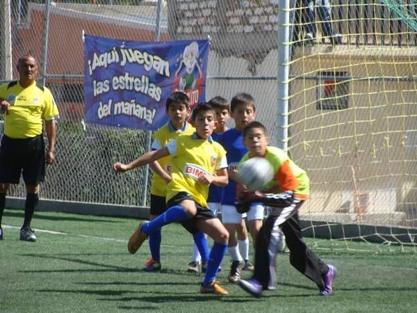 futbolito-bimbo1